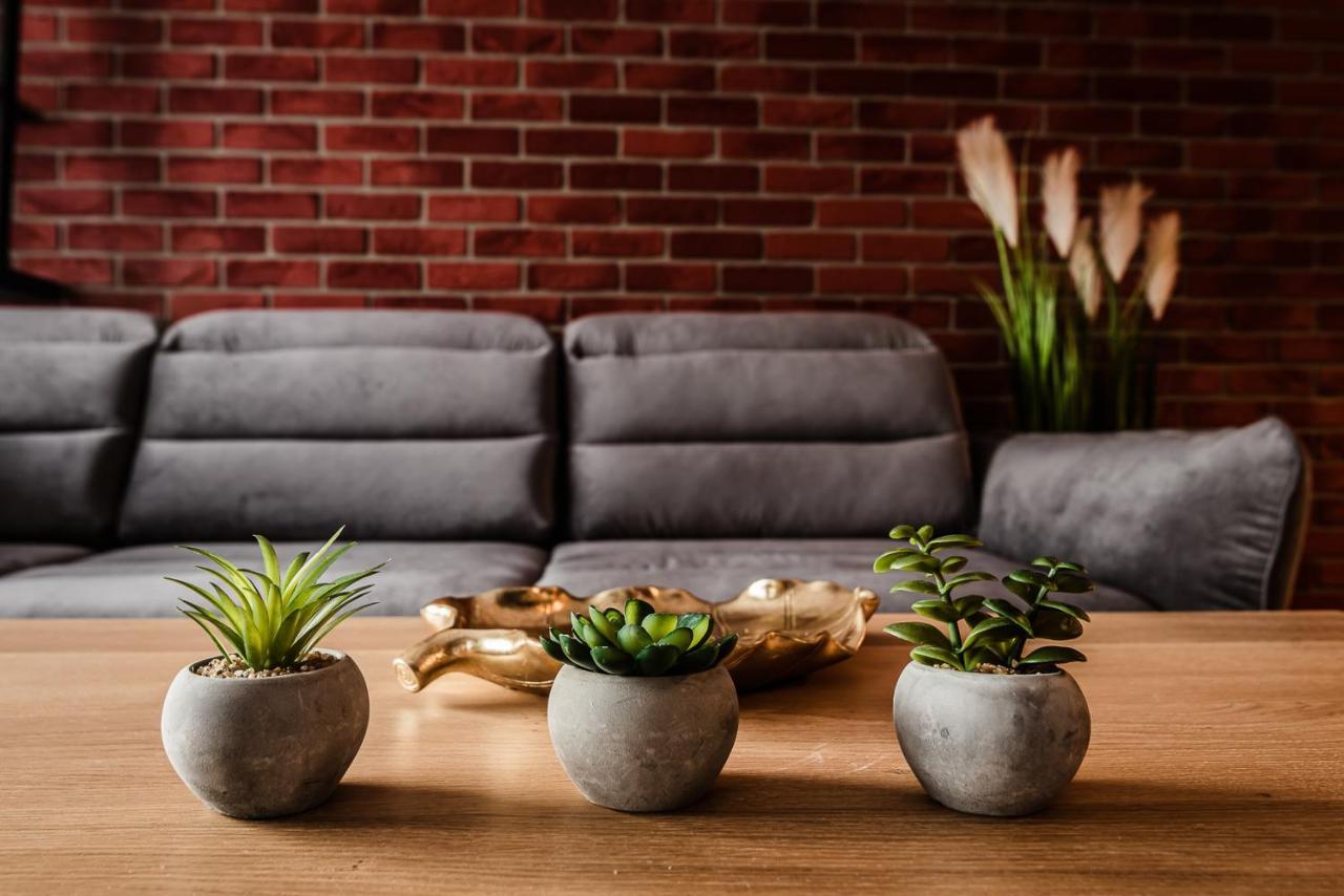 Loft Apartament Aleje Wolnosci نوفة ساونج المظهر الخارجي الصورة